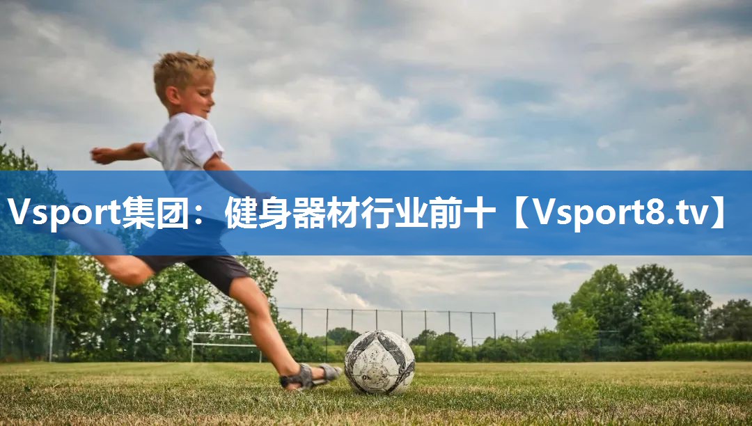 Vsport集团：健身器材行业前十