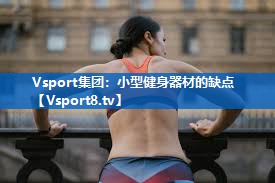 Vsport集团：小型健身器材的缺点