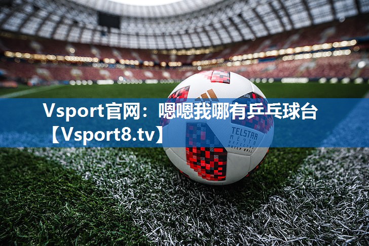 Vsport官网：嗯嗯我哪有乒乓球台