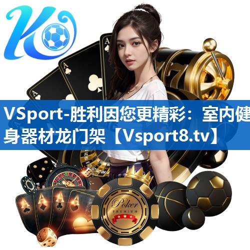 <strong>VSport-胜利因您更精彩：室内健身器材龙门架</strong>