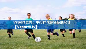 <strong>Vsport官网：单打乒乓球台标准尺寸</strong>