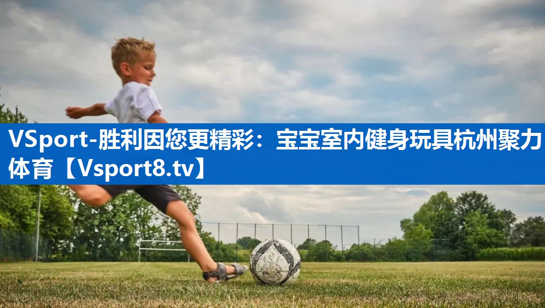 VSport-胜利因您更精彩：宝宝室内健身玩具杭州聚力体育