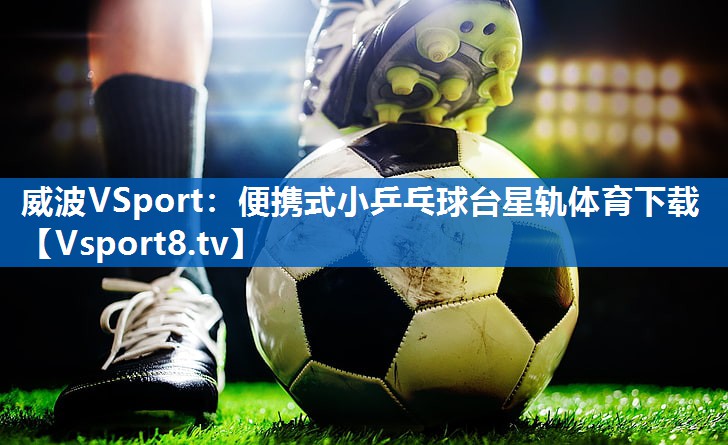 威波VSport：便携式小乒乓球台星轨体育下载