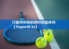 <strong>打篮球必备的器材雷氪体育</strong>