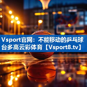 Vsport官网：不能移动的乒乓球台多高云彩体育