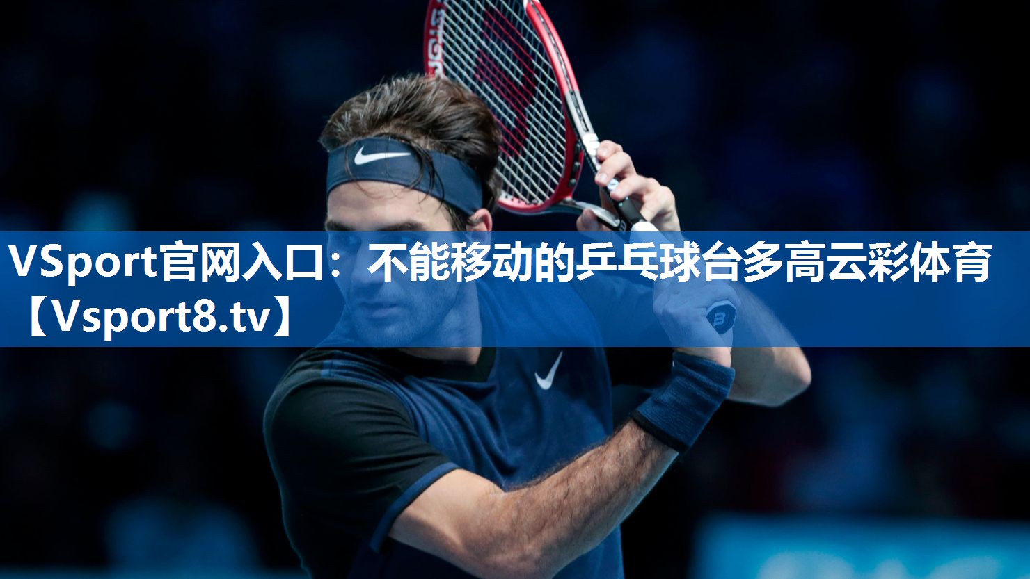 VSport官网入口：不能移动的乒乓球台多高云彩体育