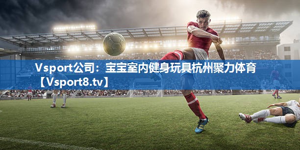 Vsport公司：宝宝室内健身玩具杭州聚力体育