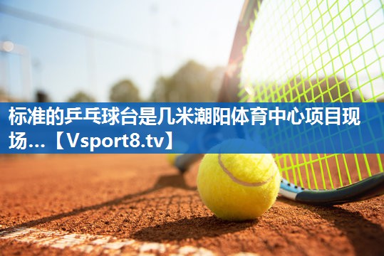 标准的乒乓球台是几米潮阳体育中心项目现场…