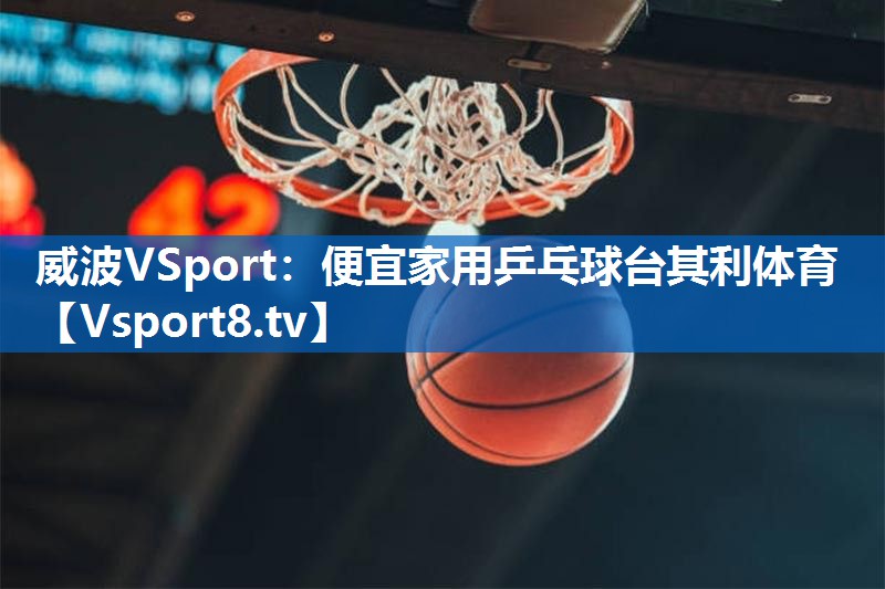 威波VSport：便宜家用乒乓球台其利体育