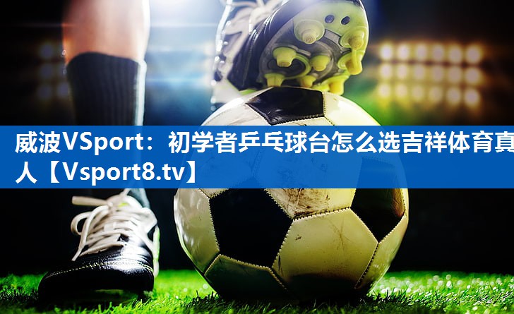 威波VSport：初学者乒乓球台怎么选吉祥体育真人