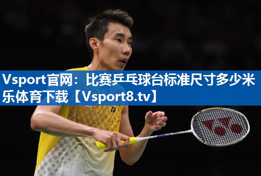 Vsport官网：比赛乒乓球台标准尺寸多少米乐体育下载