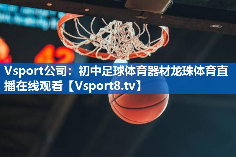 <strong>Vsport公司：初中足球体育器材龙珠体育直播在线观看</strong>