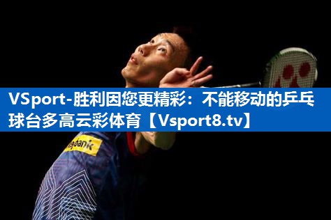 <strong>VSport-胜利因您更精彩：不能移动的乒乓球台多高云彩体育</strong>