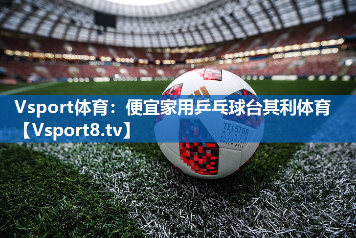 <strong>Vsport体育：便宜家用乒乓球台其利体育</strong>