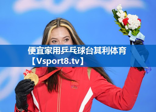 <strong>便宜家用乒乓球台其利体育</strong>