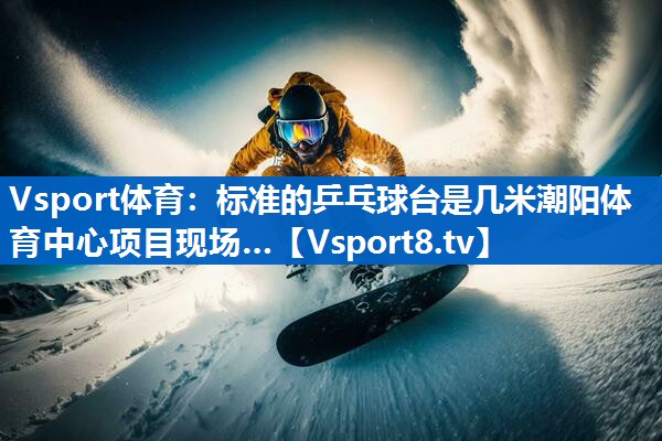 Vsport体育：标准的乒乓球台是几米潮阳体育中心项目现场…