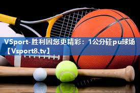 1公分硅pu球场