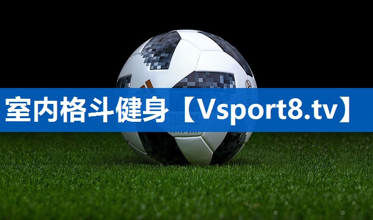 室内格斗健身