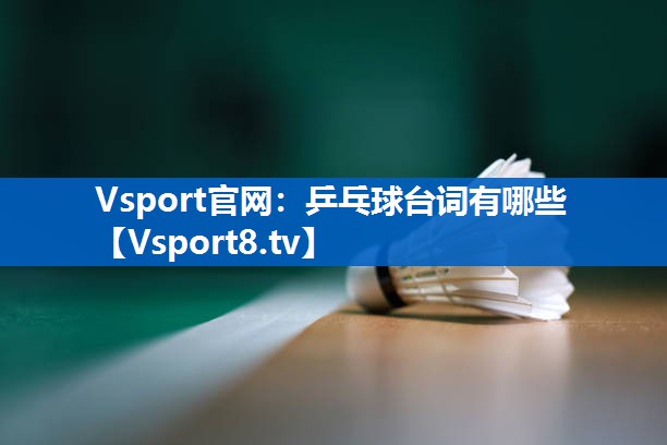 乒乓球台词有哪些