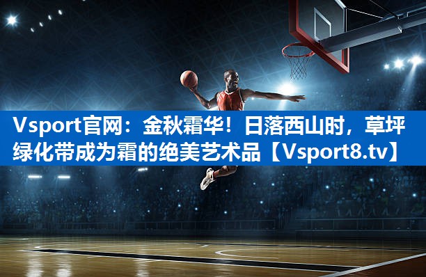 金秋霜华！日落西山时，草坪绿化带成为霜的绝美艺术品