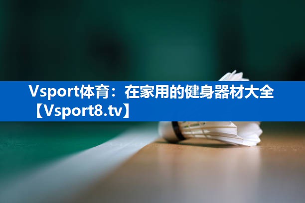 在家用的健身器材大全