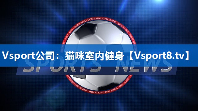 猫咪室内健身