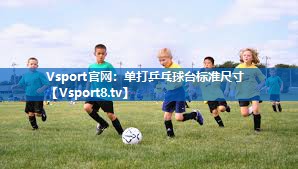 单打乒乓球台标准尺寸