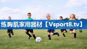 练胸肌家用器材