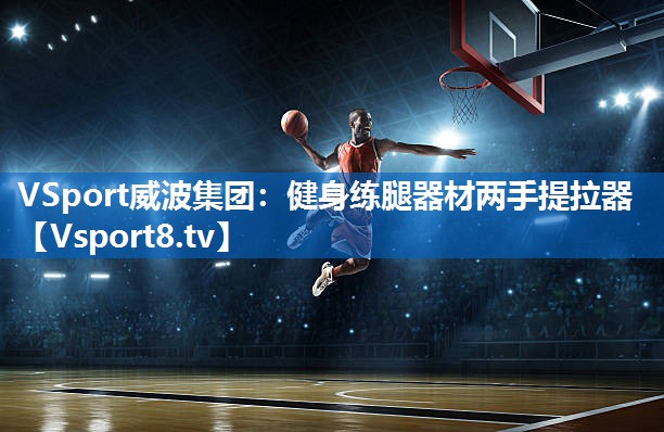 <strong>VSport威波集团：健身练腿器材两手提拉器</strong>
