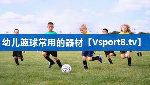 <strong>幼儿篮球常用的器材</strong>