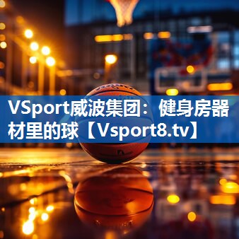 <strong>VSport威波集团：健身房器材里的球</strong>