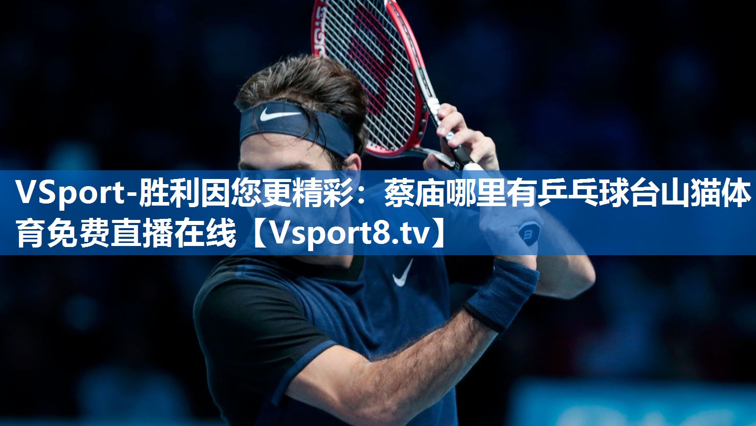 <strong>VSport-胜利因您更精彩：蔡庙哪里有乒乓球台山猫体育免费直播在线</strong>