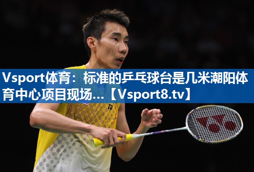 Vsport体育：标准的乒乓球台是几米潮阳体育中心项目现场…