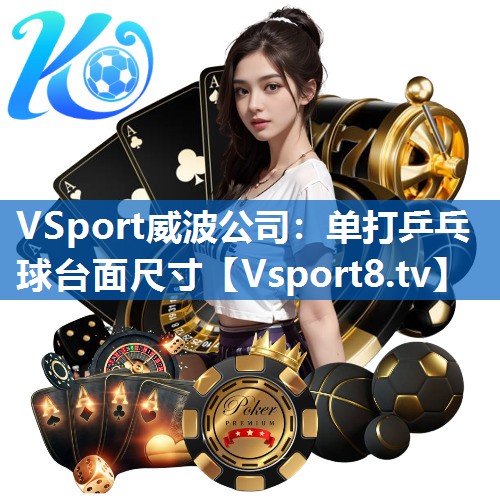 <strong>VSport威波公司：单打乒乓球台面尺寸</strong>