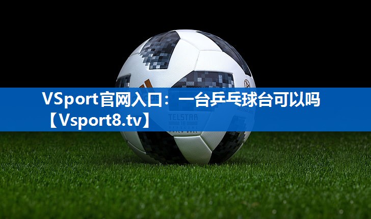 VSport官网入口：一台乒乓球台可以吗