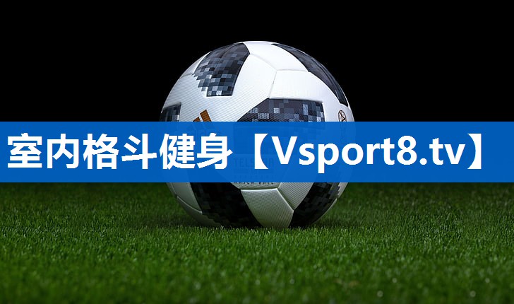 <strong>室内格斗健身</strong>