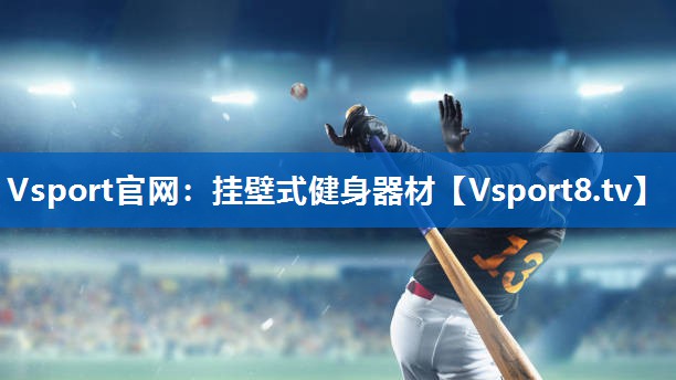 <strong>Vsport官网：挂壁式健身器材</strong>