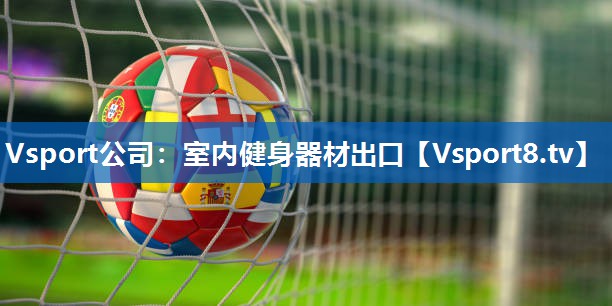 <strong>Vsport公司：室内健身器材出口</strong>
