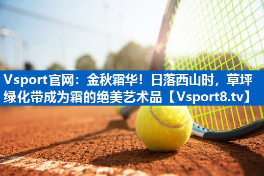 Vsport官网：金秋霜华！日落西山时，草坪绿化带成为霜的绝美艺术品