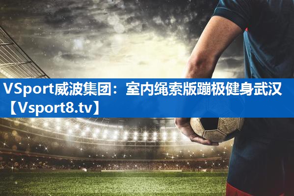 <strong>VSport威波集团：室内绳索版蹦极健身武汉</strong>