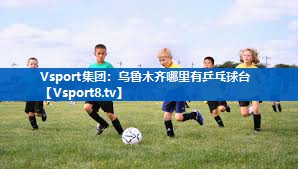 Vsport集团：乌鲁木齐哪里有乒乓球台
