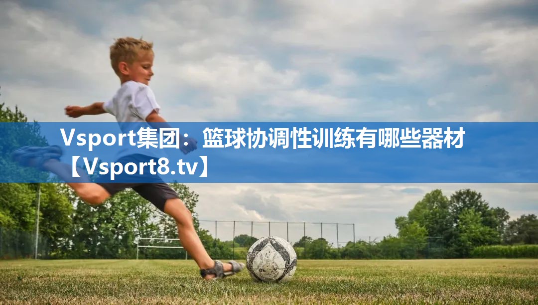 <strong>Vsport集团：篮球协调性训练有哪些器材</strong>