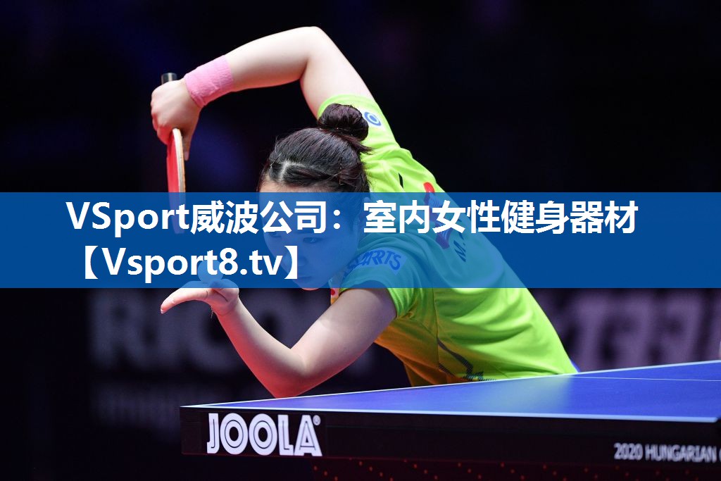 VSport威波公司：室内女性健身器材