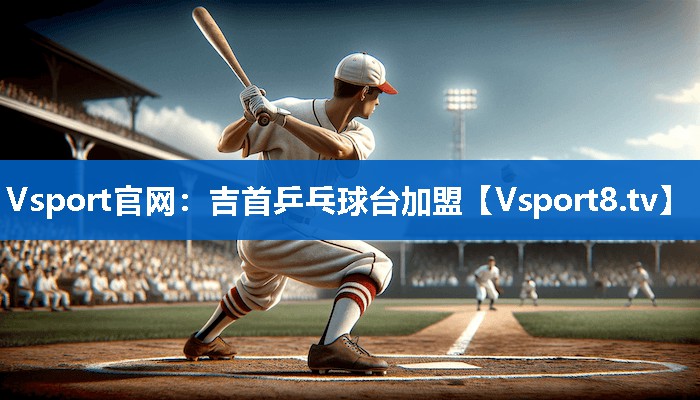<strong>Vsport官网：吉首乒乓球台加盟</strong>