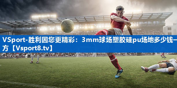 VSport-胜利因您更精彩：3mm球场塑胶硅pu场地多少钱一方