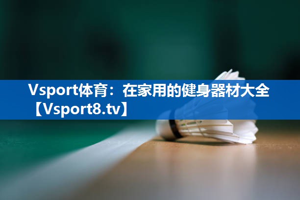 Vsport体育：在家用的健身器材大全