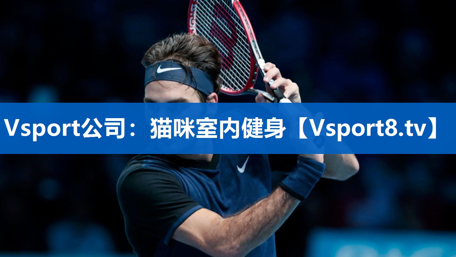Vsport公司：猫咪室内健身