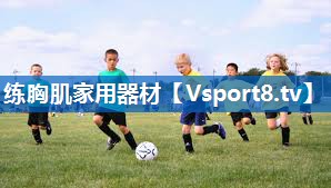 练胸肌家用器材