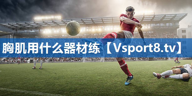 <strong>胸肌用什么器材练</strong>