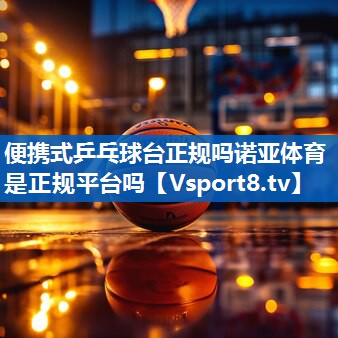 便携式乒乓球台正规吗诺亚体育是正规平台吗